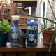 Image for article titled OatMG! A taste test of grocery store oat milks